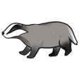 A cartoon badger, facing to the left.